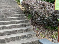 -羚羊峡古栈道森林公园