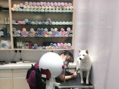 -宠颐生动物医院·小陆分院
