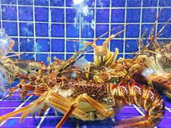 -徐记海鲜(汉城湖|太奥店)