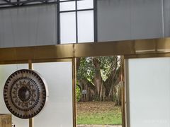 -瑞丽独树成林风景区