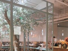 -大树餐厅(大悦城店)