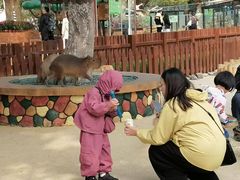 -大连森林动物园