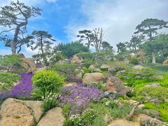 -罗红摄影艺术馆