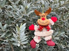 -肥朵食堂(带梦胡同店)