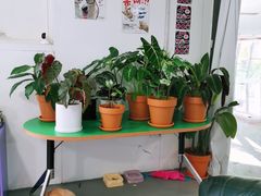 -LaFBagel手作烘焙工作室