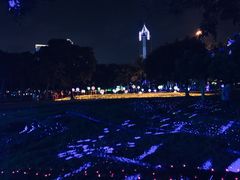 -万绿园