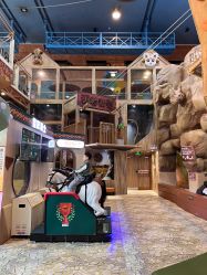 -卡通尼·Safari非洲探索乐园·生日会(金桥国际商业广场店)