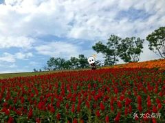 -白鹭湾湿地公园