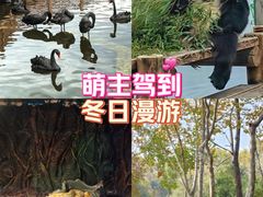 -无锡动物园·太湖欢乐园