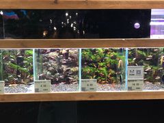 -龟与熊猫宠物公园(南坪店)