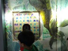 -陕西自然博物馆