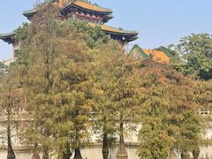 -顺峰山公园