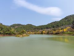 -广州白江湖森林公园