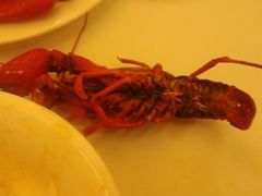 蒸虾-蓝天宾馆·融合菜·宴席(解放大道店)