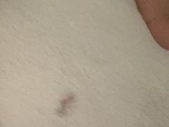 -宠物家(大兴旧宫店)