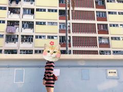 -彩虹村