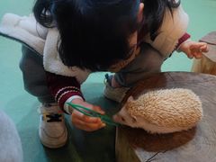 -藦茜花园宠物主题亲子互动体验馆(国顺东路店)
