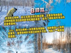 -北极村旅游风景区