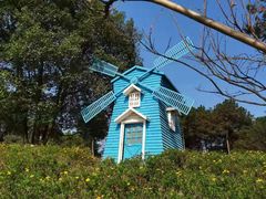 -铁山坪森林公园