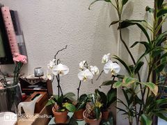 -宏帆巴人广场(石岭大道店)