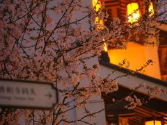 -香积寺