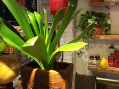 -茶花妹子云南餐厅(北大店)