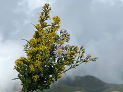 -萍乡武功山风景名胜区