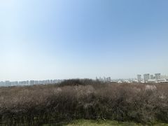 -明秦王墓遗址