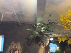 -猫猫幼稚园·撸猫·桌游·电玩