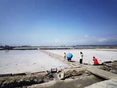 -莺歌海盐场