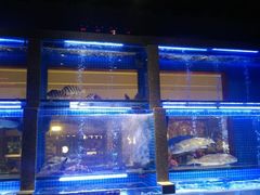水产区-东富酒家(龙湖西溪天街店)