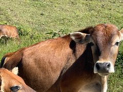 -天龙顶山地公园