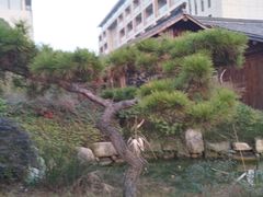 -溧阳天目湖天沐温泉