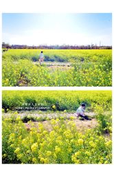 -蜜糖派儿童摄影(青建·太阳岛店)