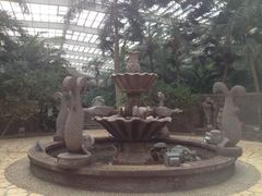 iphone_upload_pic-龙达温泉生态城