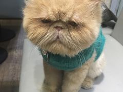 -小时光咖啡馆(开森度假森林店)