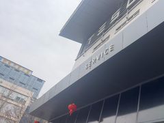 -TESLA 特斯拉(深圳坂田特斯拉中心)