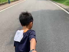 -火炉山森林公园