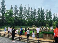 -前小桔亲子创意农场·草莓采摘·露营烧烤
