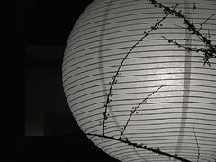 -溯洄咖啡VORTEX COFFEE