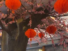 -鸥迪足道(安庆店)