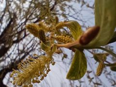 -永定河休闲森林公园