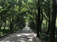 -灵谷景区
