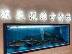 -马邦子·紫苏烤鱼(恒隆广场店)
