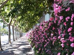 -钦州南路300弄小区