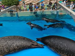 -泉城欧乐堡海洋极地世界