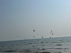 -唐山游泳馆(运动场馆)