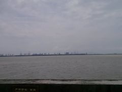 -大湾区中央湿地公园