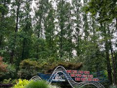 -徐家汇源景区-衡山公园