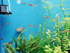 -多彩贵州城极地海洋世界